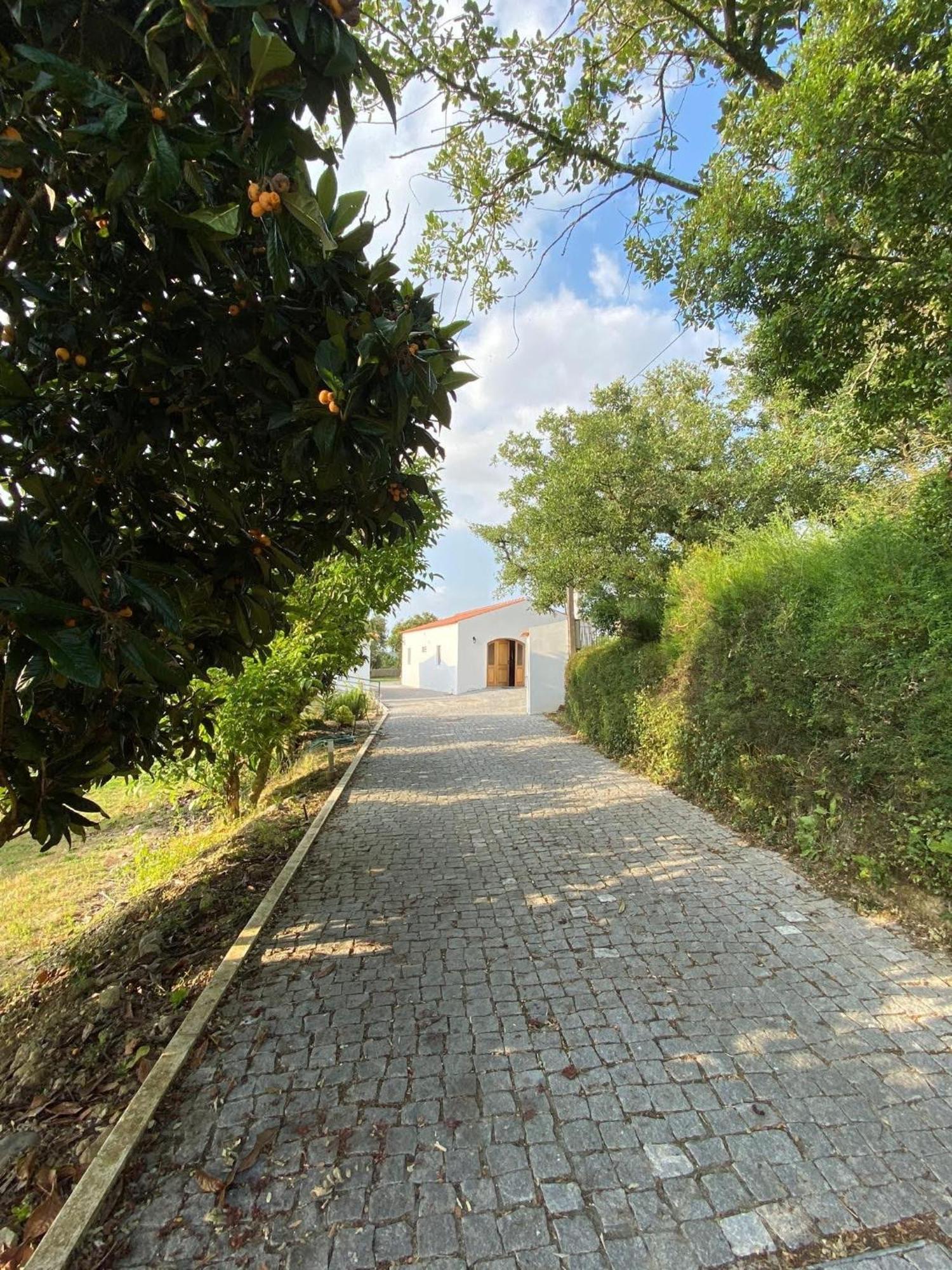Вилла Quinta Boa Vida Алкобаса Экстерьер фото